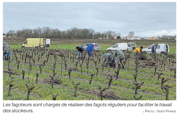 Capture_d_ecran_du_2025-02-26_19-02-53.png